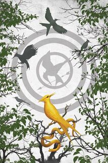 The Ballad of Songbirds and Snakes Journal (fill-in notebook) - Suzanne Collins (ISBN 9781338680072)