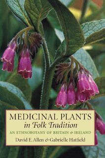 Medicinal Plants in Folk Tradition - David Allen, Gabrielle Hatfield (ISBN 9781604694291)