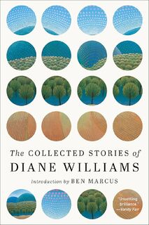 The collected stories of Diane Williams - Diane Williams (ISBN 9781616959821)