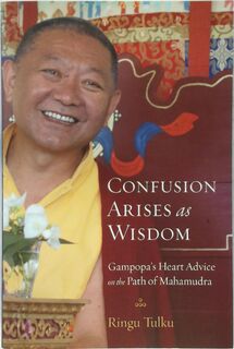Confusion Arises As Wisdom - Ringu Tulku (ISBN 9781590309957)