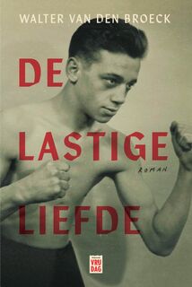 De lastige liefde - Walter Van Den Broeck (ISBN 9789464341652)