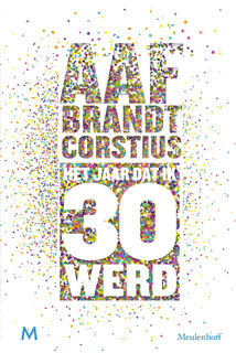 Het jaar dat ik 30 werd - Aaf Brandt Corstius (ISBN 9789029092296)