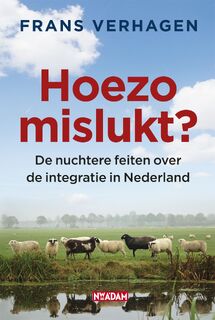 Hoezo mislukt? - Frans Verhagen (ISBN 9789046806340)