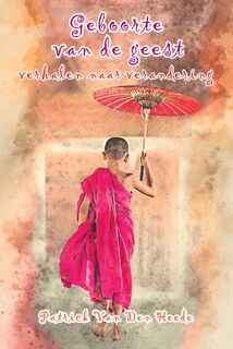 Geboorte van de geest - Patrick Van Den Heede (ISBN 9789463310451)