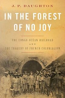 In the Forest of No Joy - J.P. Daughton (ISBN 9780393541014)