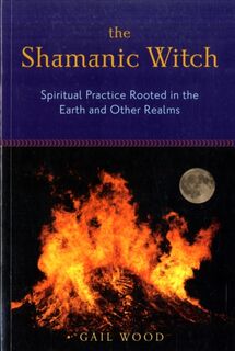 Shamanic Witch - Gail (Gail Wood) Wood (ISBN 9781578634309)