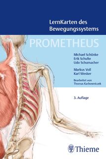PROMETHEUS LernKarten des Bewegungssystems - Michael Schünke, Erik Schulte, Udo Schumacher (ISBN 9783132457850)