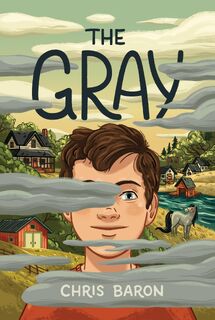The Gray - Chris Baron (ISBN 9781250864703)