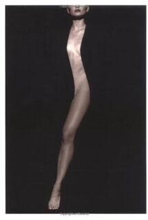 The Body - William A. Ewing (ISBN 9780811807623)