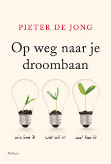Op weg naar je droombaan - Pieter de Jong (ISBN 9789463820424)