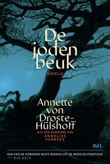 De jodenbeuk - Annette Von Droste Hülshoff (ISBN 9789493387133)