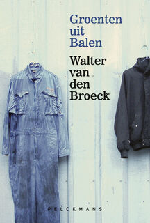 Groenten uit Balen - Walter Van den Broeck (ISBN 9789464342659)