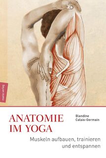 Anatomie im Yoga - Blandine Calais-Germain (ISBN 9783737411028)