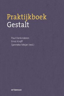 Praktijkboek gestalt - Paul Derkinder, Ernst Knijff, Sjanneke Meijer (ISBN 9789058981530)
