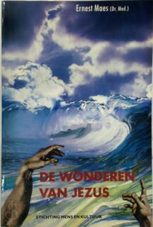 De Wonderen van Jezus - Ernest Maes (ISBN 9789072931597)