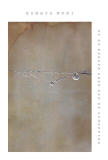 Bombyx mori - Dietske Geerlings (ISBN 9789083181387)