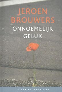 Onnoemelijk geluk - Jeroen Brouwers (ISBN 9789085163053)