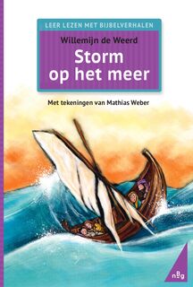 Storm op het meer - Willemijn de Weerd (ISBN 9789089123664)