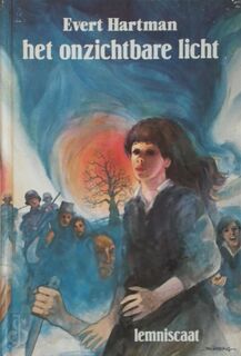 Het onzichtbare licht - Evert Hartman (ISBN 9789060695043)