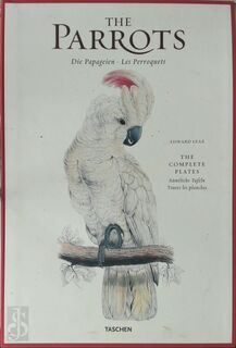 Edward Lear: The Parrots - Francesco Solinas, Solphia Willmann, Rainer Willmann, Dr. (ISBN 9783822852743)