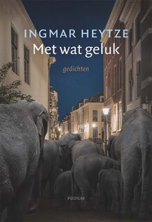 Met wat geluk - Ingmar Heytze (ISBN 9789463811576)