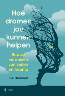 Hoe dromen jou kunnen helpen - Ilse Demaret (ISBN 9789464983388)