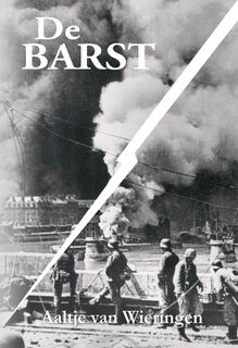 De barst - Aaltje van Wieringen (ISBN 9789464935264)