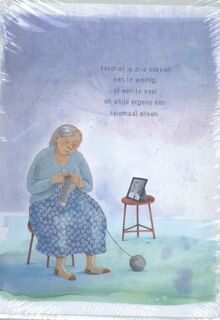 Plint 10 kaarten Verdriet is drie sokken Koos Meinderts - Koos Meinderts (ISBN 9789059308275)