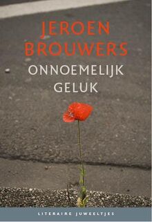 Onnoemelijk geluk 10 ex. - Jeroen Brouwers (ISBN 9789085163374)