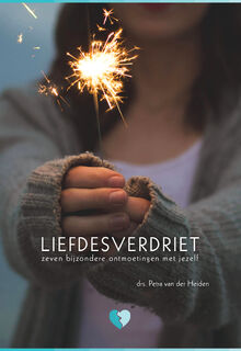 Liefdesverdriet - Petra van der Heiden (ISBN 9789082557244)