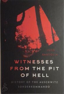 Witnesses from the Pit of Hell - Igor Bartosik (ISBN 9788377043639)
