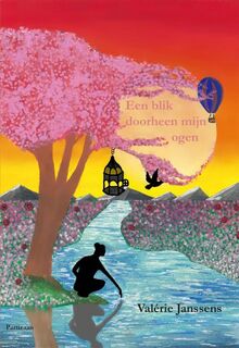 Een blik doorheen mijn ogen - Valérie Janssens (ISBN 9789464076158)