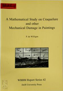 A mathematical study on craquelure and other mechanical damage in paintings - P. de Willigen (ISBN 9789040719462)
