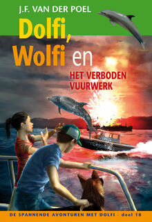 Dolfi, Wolfi en het verboden vuurwerk - J.F. van der Poel (ISBN 9789088653834)