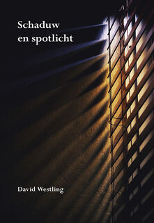 Schaduw en spotlicht - David Westling (ISBN 9789463654753)