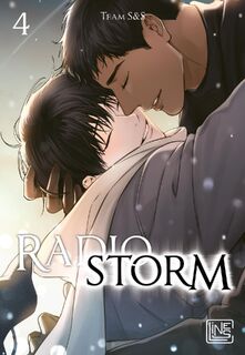 Radio Storm 4 - Team S&S (ISBN 9783551630698)