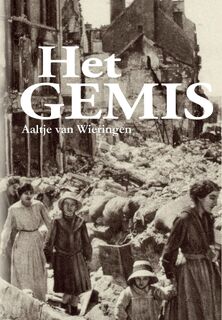 Het gemis - Aaltje van Wieringen (ISBN 9789462179950)