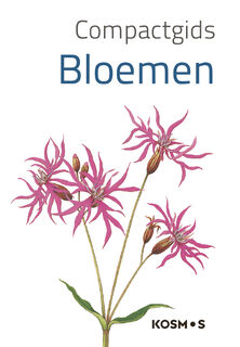 Compactgids Bloemen (ISBN 9789043927765)