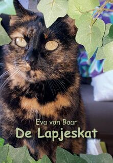 De Lapjeskat - Eva van Baar (ISBN 9789463453288)