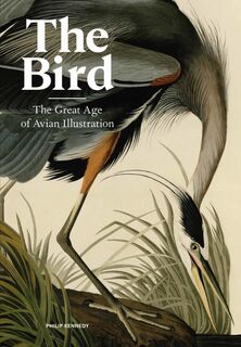 The Bird - Philip Kennedy (ISBN 9781786277312)