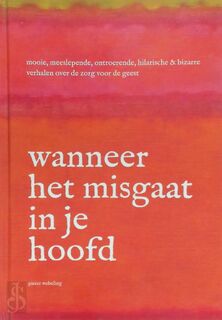 Wanneer het misgaat in je hoofd - Pieter Webeling