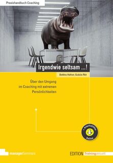 Irgendwie seltsam ...! - Bettina Hafner, Gudula Ritz (ISBN 9783958910737)