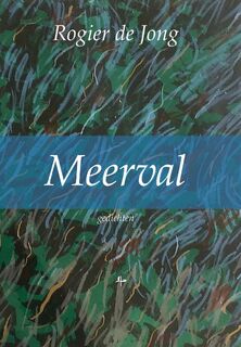 Meerval - Rogier de Jong (ISBN 9789492519740)