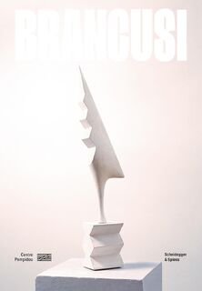 Brancusi (ISBN 9783039422036)