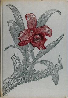 Orchideeën - Walter Richter, G.Th Odijk (ISBN 9789003925305)