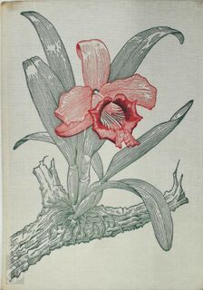 Orchid Care - Walter Richter (ISBN 0289700752)