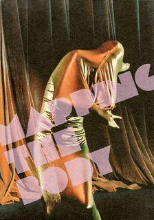 Mapping the Body - Julia Brennacher (ISBN 9783903131279)