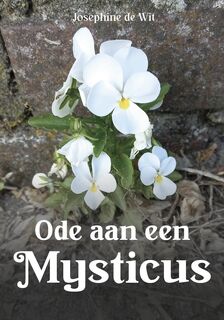 Ode aan een Mysticus - Josephine de Wit (ISBN 9789464815399)