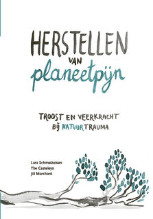 Herstellen van planeetpijn - Ybe Casteleyn, Lara Schmelzeisen (ISBN 9789493301917)