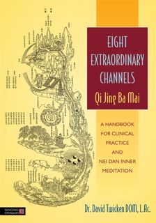 Eight Extraordinary Channels - Qi Jing Ba Mai - David Twicken (ISBN 9781848191488)